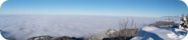 Schüpfeflue